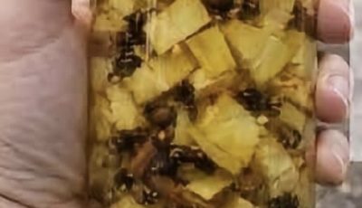 Pineapple Peel and Clove Tea