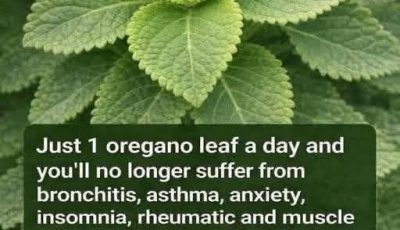 Oregano Tea