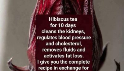 Hibiscus Bay Leaf Cinnamon Water