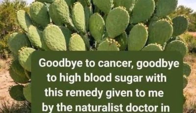 Nopal Cactus Drink
