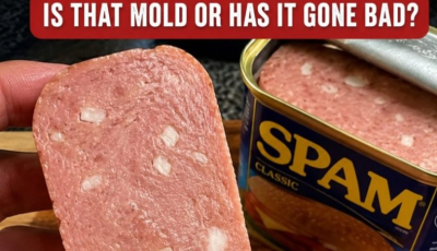 What Those White Bits in Spam Actually Are