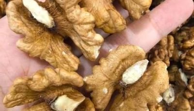 Doctors reveal that eating walnuts causes