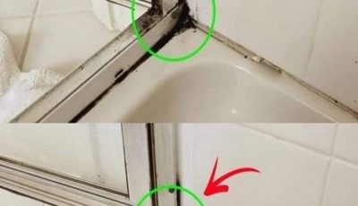 The fastest way to get rid of silicone mold in the shower