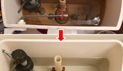 How to Clean Your Toilet Flush and Make It Look Like New
