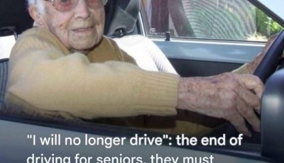 Senior Driving Licence: A Complete Guide to Obligations and Aptitude Tests for Older Drivers