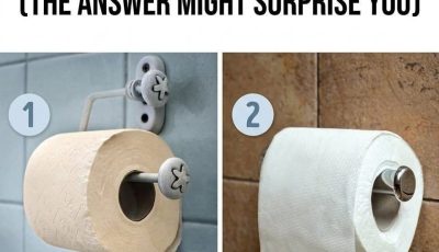 Which Way Is the Correct Way to Hang Toilet Paper? (The Answer Might Surprise You)