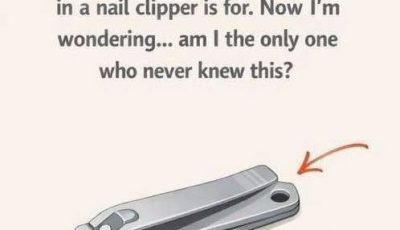 Why Your Nail Clipper Has That Small Round Hole and Why It Still Matters Today – welcome