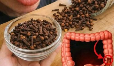 Chewing Cloves Daily: A Tiny Habit with Big Benefits for Your Body