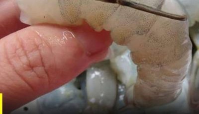 That Dark Line on Your Shrimp: What It Is and Whether You Should Remove It
