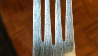 Mystery Solved: The Real Reason Your Fork Has a ‘Chipped’ Prong! – Meet the Cutting Fork