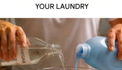 Vinegar and Fabric Softener in the Washing Machine: What Really Happens to Your Laundry