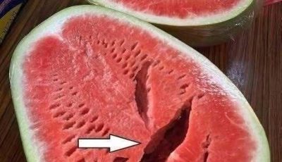 You Cut Open a Watermelon and Saw Cracks? Stop Eating It Immediately! Here’s What It Really Means