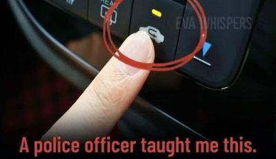The Dashboard Button Most Drivers Ignore—And Why It Actually Matters