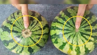 No More Bland Watermelons! A Gentle, Science-Backed Guide to Choosing the Sweetest One at the Market