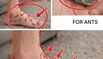 Top 3 Essential Vitamins and Nutrients That May Support Nerve Health and Help Relieve Neuropathy Symptoms (Based on Research)