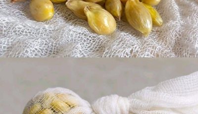 Don’t Throw Away Lemon Seeds