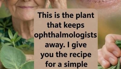Cuban Oregano Tea and Healthy Vision Habits