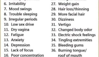 Menopause Wellness Smoothie